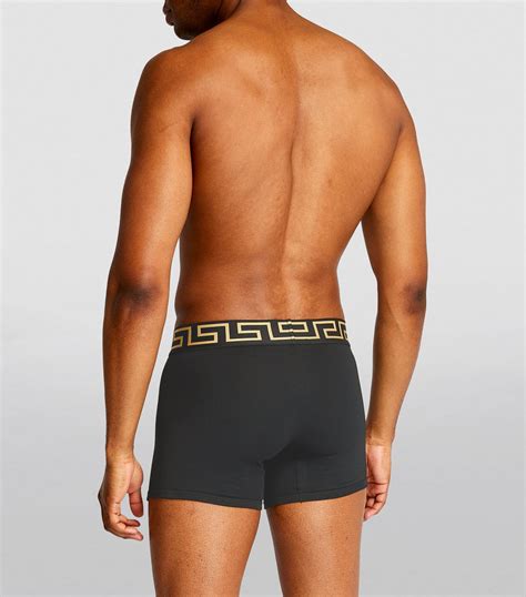 Versace Briefs & Boxers for Men .